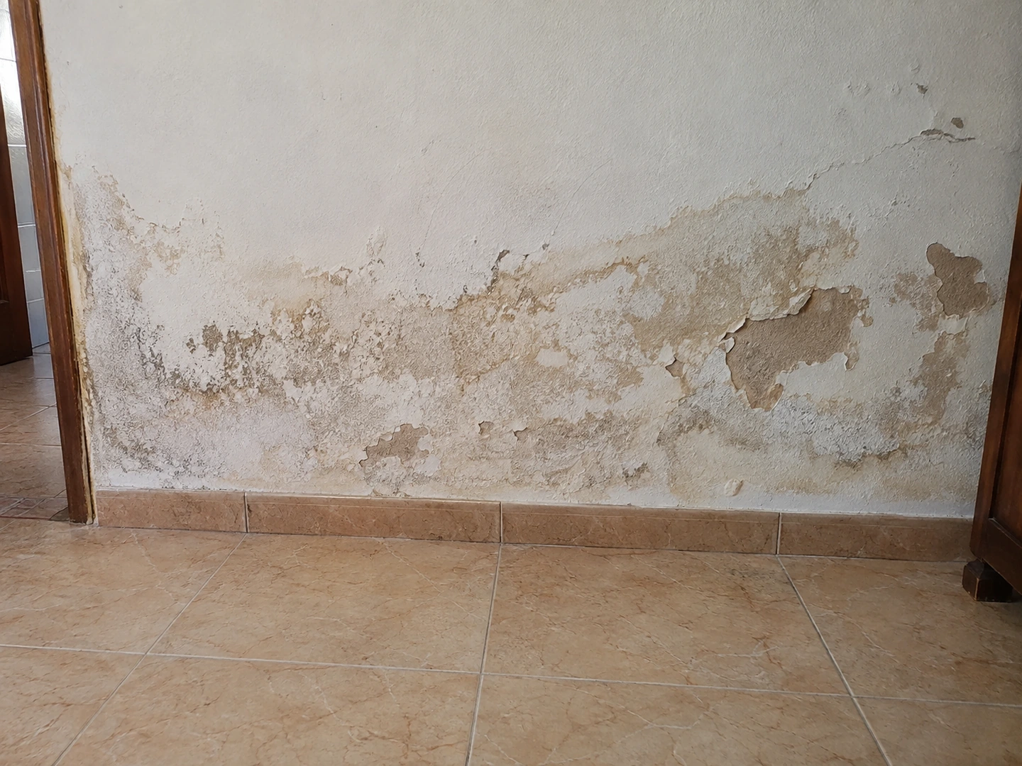Pied de mur marqué par des auréoles, des dépôts blancs et des décollements localisés.