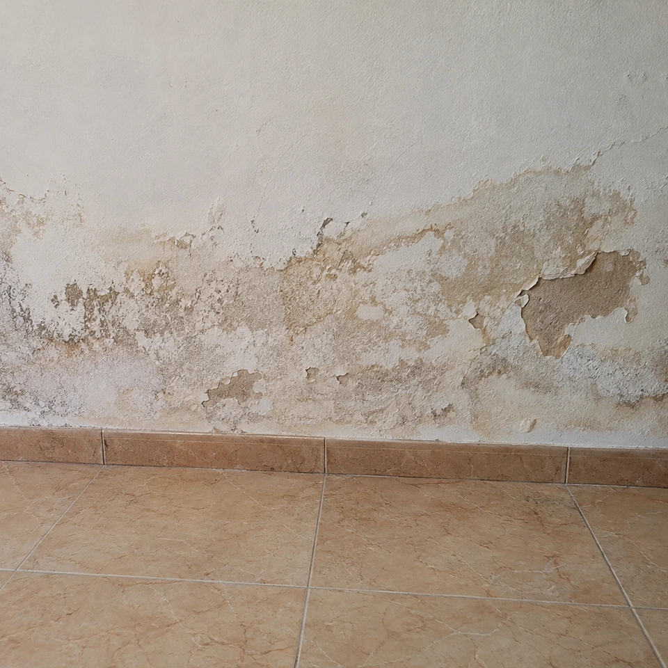 Pied de mur marqué par des auréoles, des dépôts blancs et des décollements localisés.