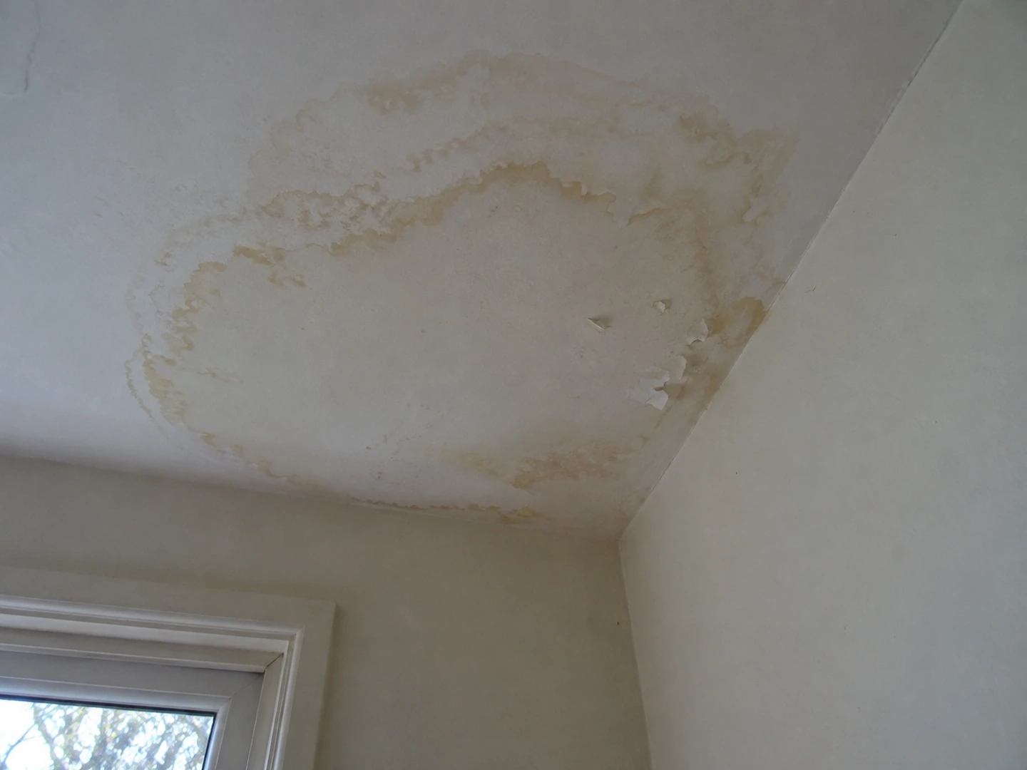 Auréoles brun clair et petites écailles de peinture au plafond, près d’un angle.