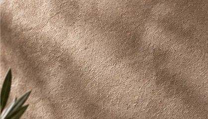 Matière taupe veloutée traversée par l'ombre d'un feuillage